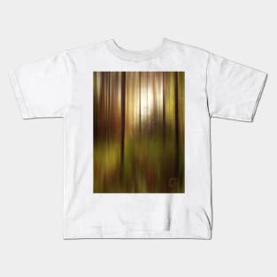 Hazy Late Afternoon in the Summer Woods Kids T-Shirt